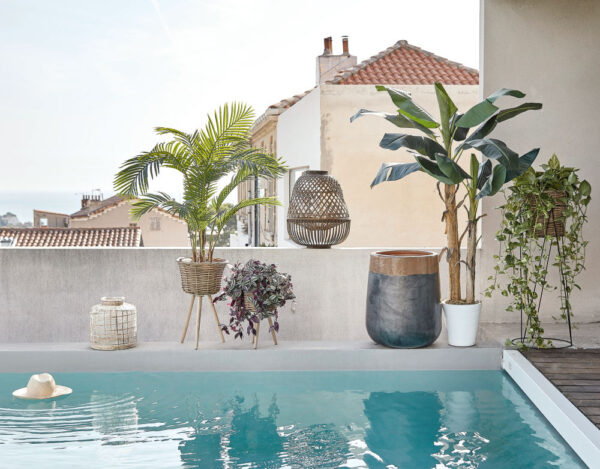 Plantes décoratives pour balcon