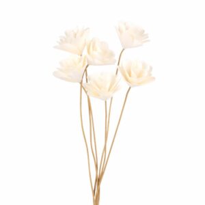 Bouquet de Fleurs Blanches - Décoration florale