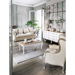 Mobilier de salon élégant