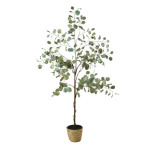 Plante artificielle - Eucalyptus