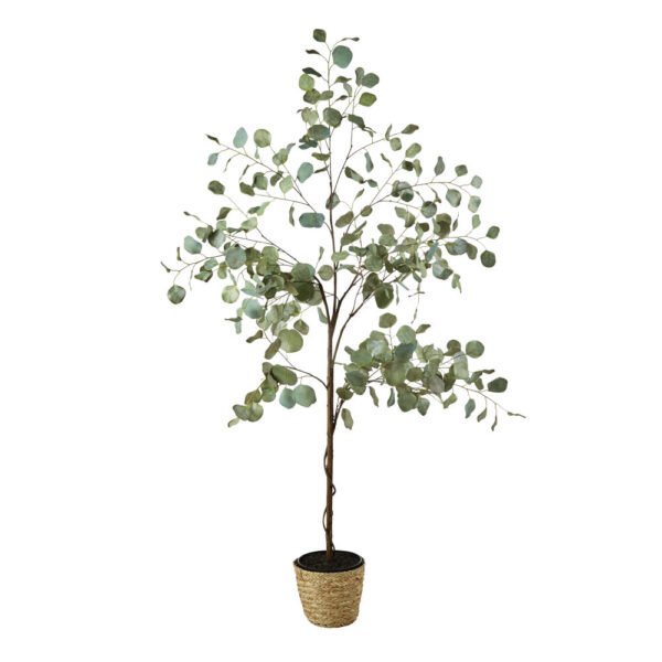 Plante artificielle - Eucalyptus